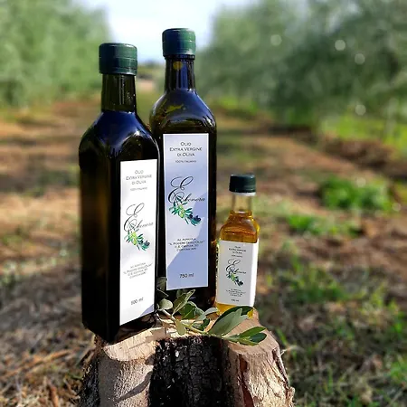 Casa Del Nonno Bingheri - La Cantina * Cortona