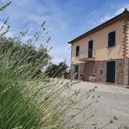 Casa Del Nonno Bingheri - La Cantina